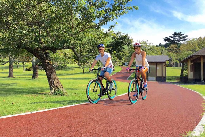 Half Day Izu Kogen Highlands Downhill Cycling Tour - Mt. Omuro to Jogasaki Coast: what the day feels like
