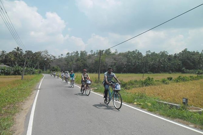 Half-Day Lagoon and Village Cycling Tour in Galle - Galle by bike: why mangroves and villages beat a car tour