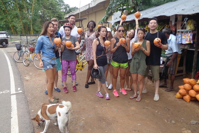 Half-Day Lagoon and Village Cycling Tour in Galle - Industry stops that feel practical, not staged