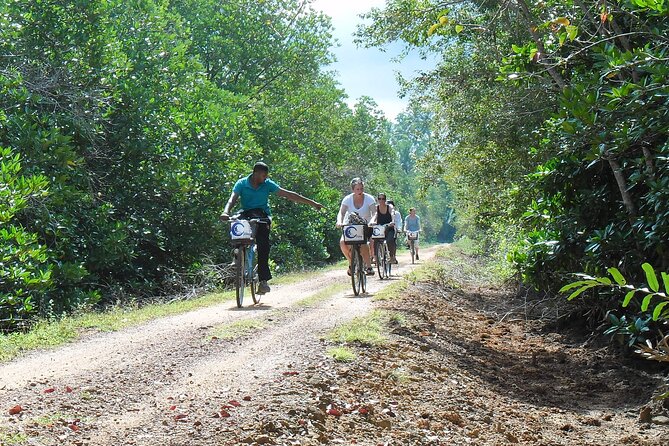 Half-Day Lagoon and Village Cycling Tour in Galle - Morning vs afternoon: choose the session that matches your comfort
