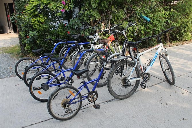 Half-Day Lanna Countryside Cycling Tour in Chiang Mai - How hard is the cycling, really?