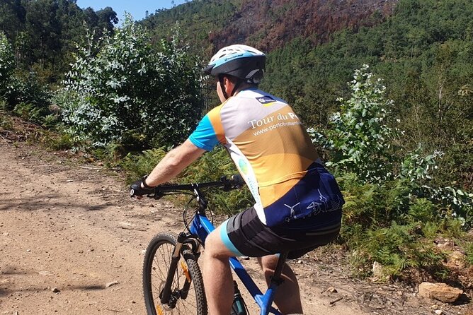 Half day Mountain Bike Tour in Porto - The 8:00 am start and 20-minute van ride that saves your day