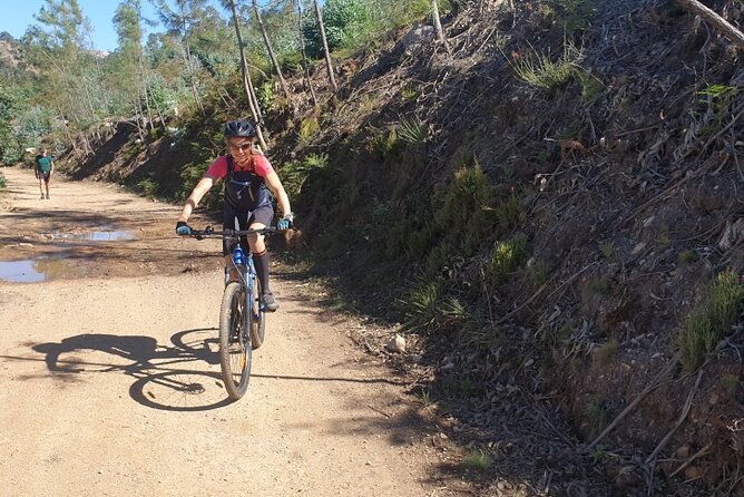Half day Mountain Bike Tour in Porto - How far you ride: 20 km to 50 km and the half-day vs full-day decision