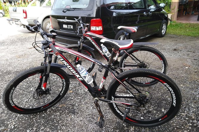 Half-Day Penang Countryside Cycling Tour - Who should book this countryside cycling tour