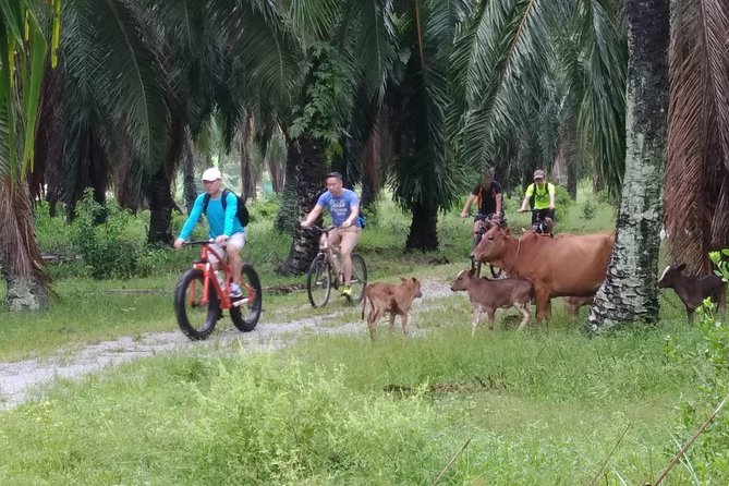 Half-Day Penang Countryside Cycling Tour - Price and what you actually get for $32.31