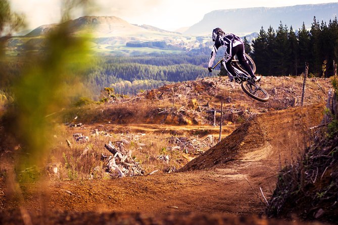 Half-Day Self-Guided Mountain Bike Journey through Whakarewarewa Redwood Forest - Key things to know before you pedal