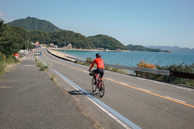 Half-Day Shimanami Kaido Private E-Bike Cycling Tour - 3 Routes - Key highlights to plan around