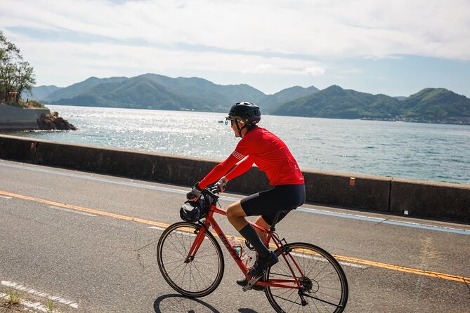 Half-Day Shimanami Kaido Private E-Bike Cycling Tour - 3 Routes - Meeting at Onomichi Station and riding with a guide who knows the islands