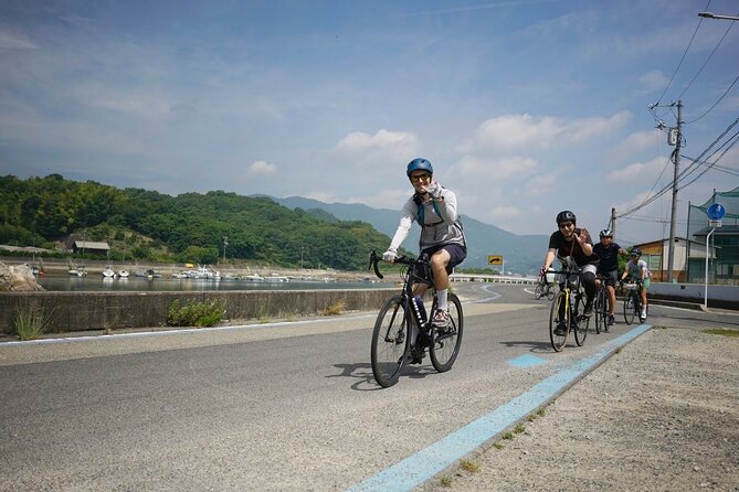 Half-Day Shimanami Kaido Private E-Bike Cycling Tour - 3 Routes - Route B: Cycle around Mukaishima for the Seto Islands side of the story