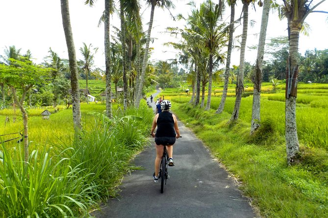 Half-Day Ubud Electric Cycling Tour to Tirta Empul Water Temple - Why Ubud on an electric bike beats fighting traffic