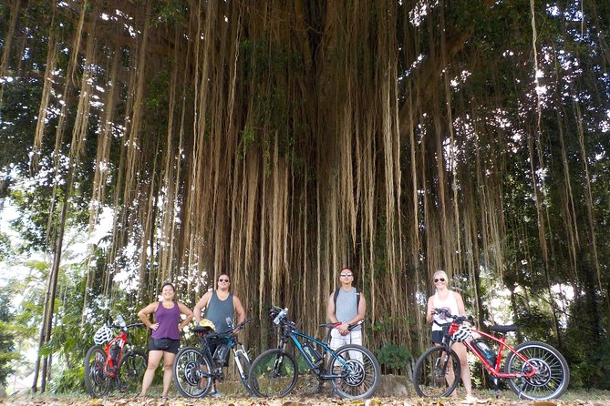 Half-Day Ubud Electric Cycling Tour to Tirta Empul Water Temple - Tirta Empul Water Temple: what you’ll see and how to prepare