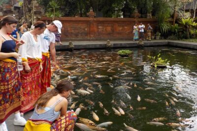 Half-Day Ubud Electric Cycling Tour to Tirta Empul Water Temple - Riding through rice terraces and village life