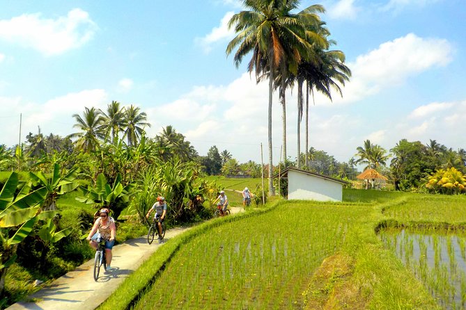 Half-Day Ubud Electric Cycling Tour to Tirta Empul Water Temple - Balinese lunch after your ride: why the meal is part of the plan