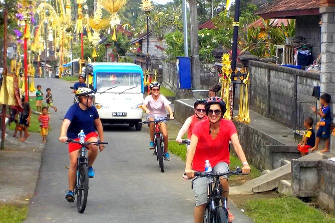 Half-Day Ubud Electric Cycling Tour to Tirta Empul Water Temple - Price and value for $49: what you actually get