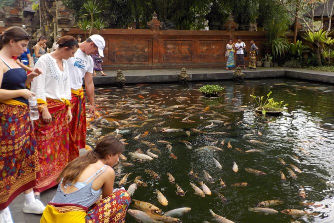 Half-Day Ubud Electric Cycling Tour to Tirta Empul Water Temple - Riding through rice terraces and village life
