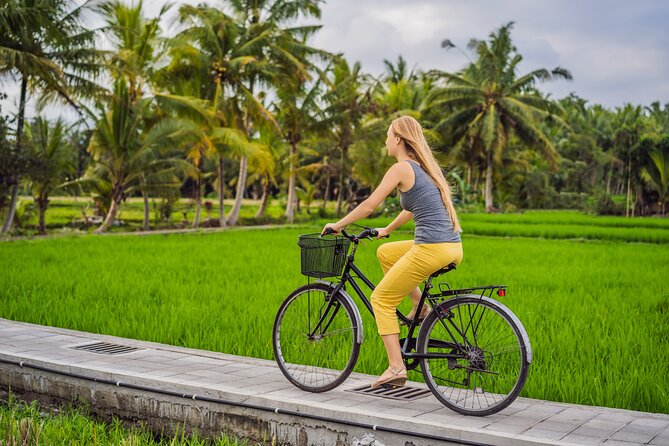 Half-Day Ubud Rice Field and Village Cycling Tour - Key things to know before you pedal