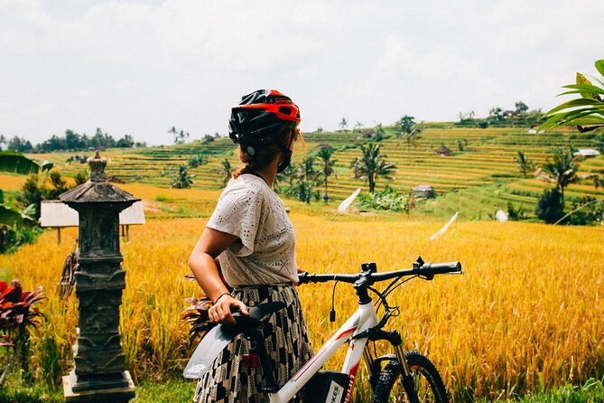 Half-Day Ubud Rice Field and Village Cycling Tour - Why this route feels like Bali’s quiet side