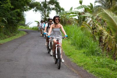Half-Day Ubud Rice Field and Village Cycling Tour - Price and logistics: what $41.03 buys you in real life