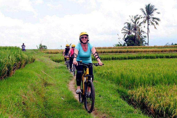 Half-Day Ubud Rice Field and Village Cycling Tour - Villages and house compounds: what you’re actually learning