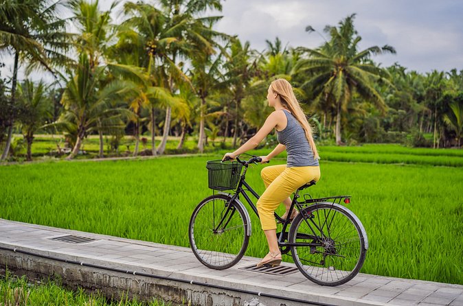 Half-Day Ubud Rice Field and Village Cycling Tour - Rice terraces: breathtaking views, but bring balance