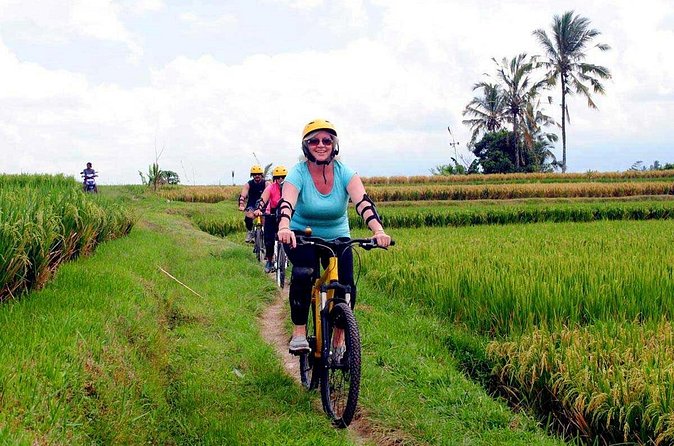Half-Day Ubud Rice Field and Village Cycling Tour - The guides make or break the day (and you get top-shelf names)