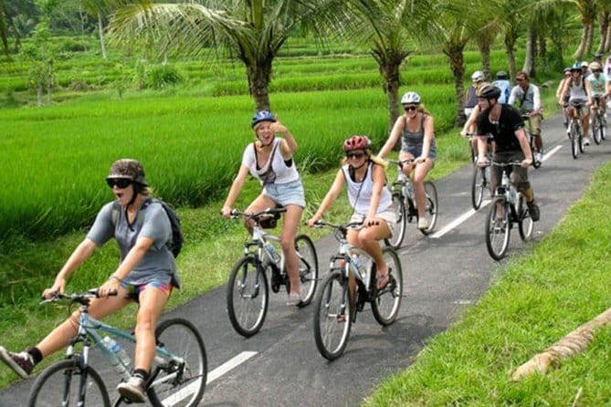 Halo Bike Cycling Tour Downhill - Downhill in Bali: what 90% downhill actually does for your day