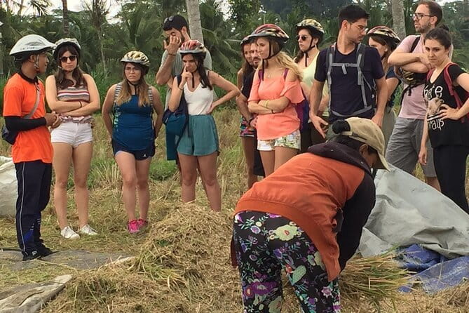 HALO BIKE Downhill Bali Countryside Cycling Tour - The Family-Run Feel and Small-Group Advantage