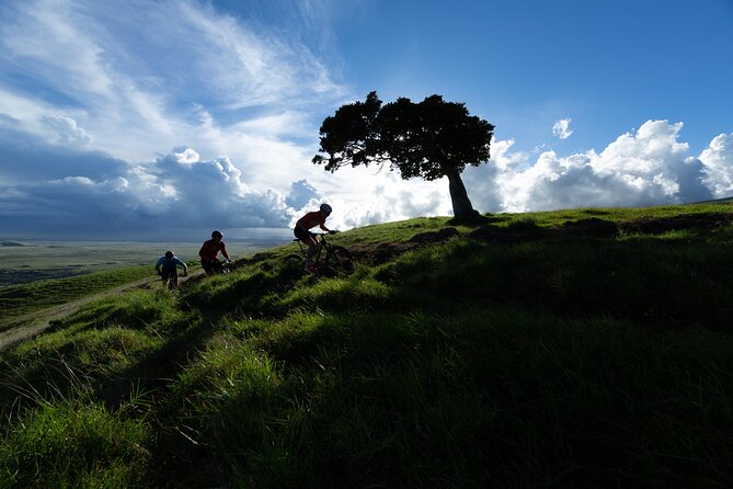 Hawai'i E-Mountain Bike Ride - Key highlights you’ll feel the moment you start