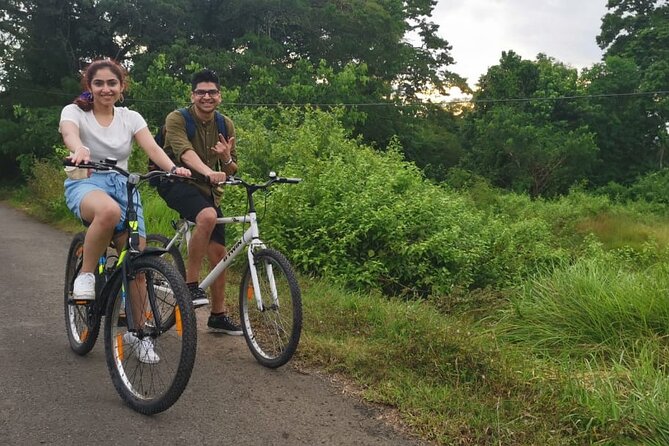 Hinterland Cycling Tour, Havelock - The historian-led stories: tribes, culture, and island history in plain language