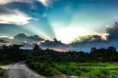 Hinterland Cycling Tour, Havelock - SeaShell meet-up and your bikes for an on-road/off-road ride