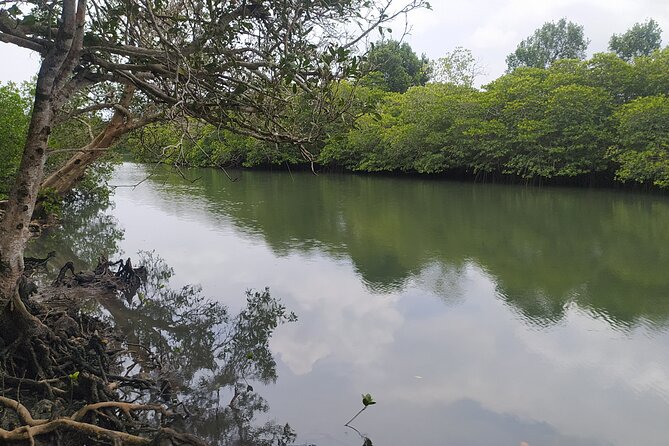Hinterland Cycling Tour, Havelock - Price and value: is $27.23 a good deal?