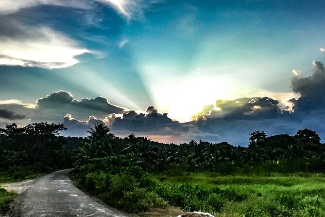 Hinterland Cycling Tour, Havelock - SeaShell meet-up and your bikes for an on-road/off-road ride