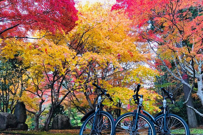Hiroshima Country Cycling: Explore Rural Life 1 HR from City - The point of this ride: rural life, not just transportation