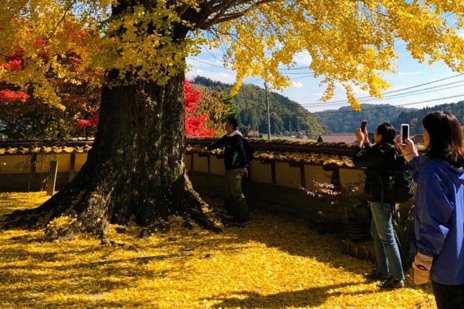 Hiroshima Country Cycling: Explore Rural Life 1 HR from City - Stop 2: Doitaya and what a farming community looks like up close