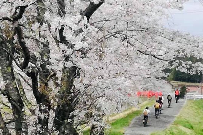 Hiroshima Country Cycling: Explore Rural Life 1 HR from City - Price and what it really buys you