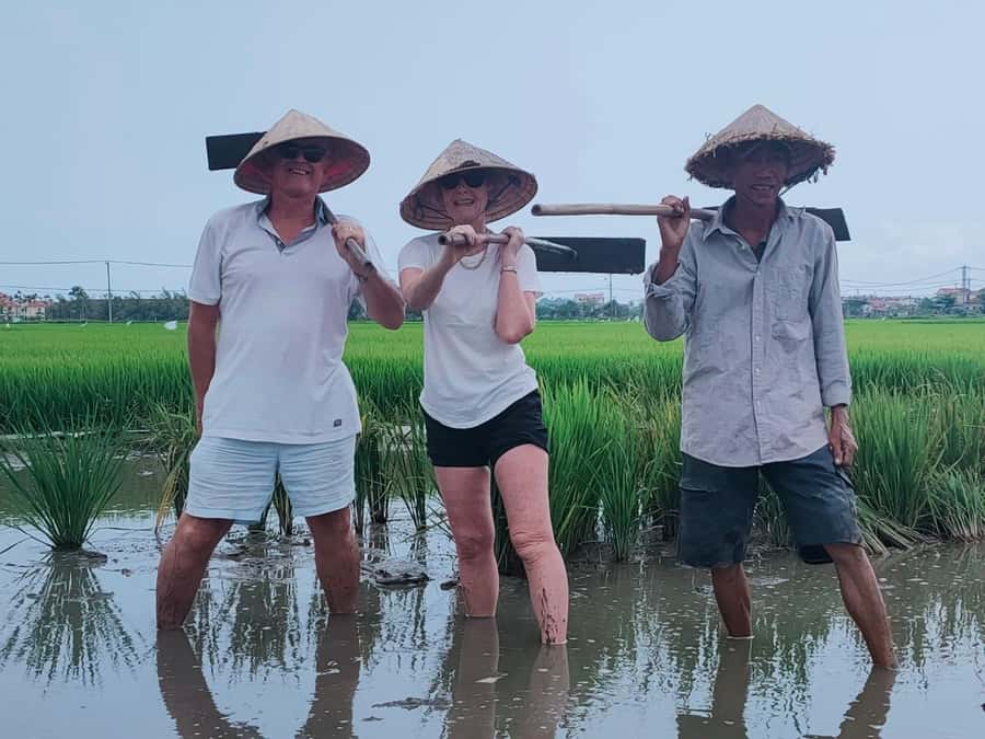Hoi An: Countryside by Cycling, Buffalo Riding & Do Farming - Comfort, Weather, and the Mud Factor