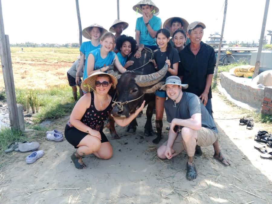 Hoi An: Countryside by Cycling, Buffalo Riding & Do Farming - Rice-Field Work With Local Farmers: Planting Baby Rice Hands-On