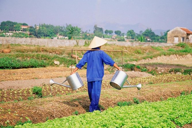 Hoi An countryside cycling tour - Key moments that make this tour worth your time