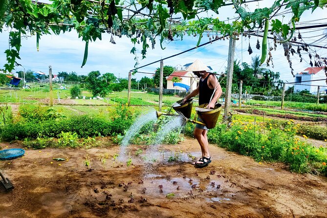 Hoi An countryside cycling tour - Setting off from Hoi An: pickup, bikes, and a slow countryside rhythm
