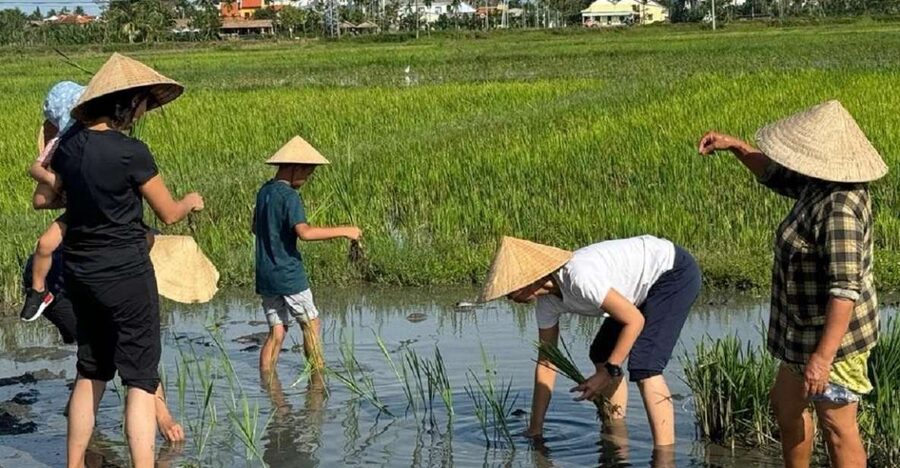 Hoi An:Cycling,Traditional Farming & Fishing Life Experience - Key things that make this tour worth your time