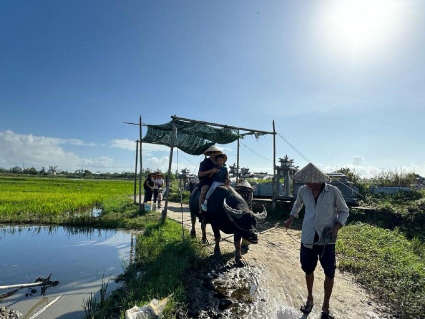 Hoi An:Cycling,Traditional Farming & Fishing Life Experience - Water buffalo time: the highlight that’s equal parts fun and culture