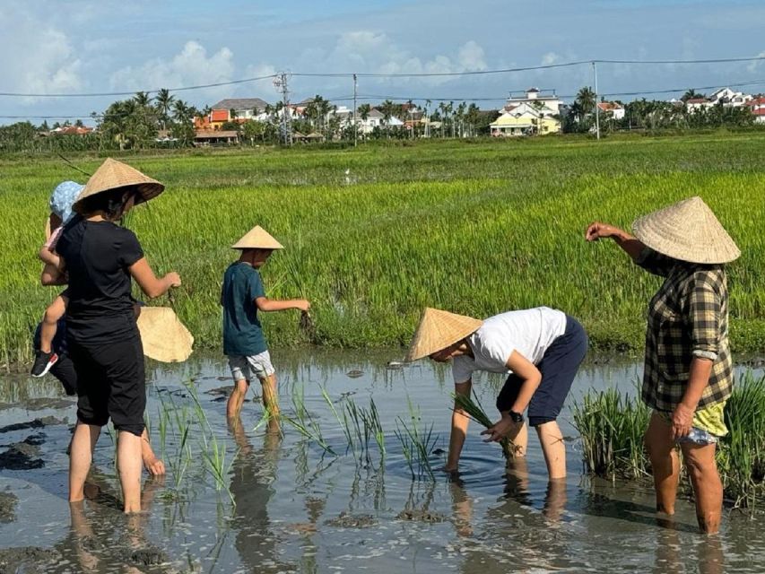 Hoi An:Cycling,Traditional Farming & Fishing Life Experience - Price and time: what $34 buys you (and why it’s fair)