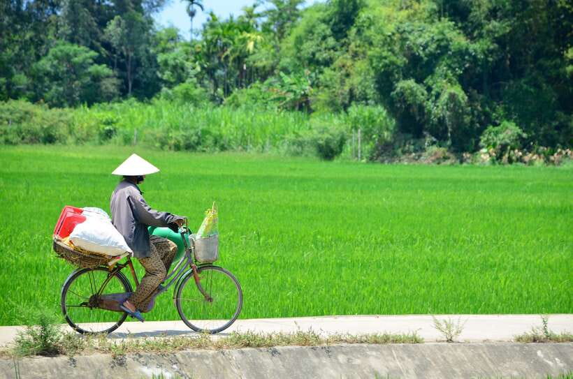 Hoi An: Private Cycling to My Son Sanctuary with Local Guide - Key highlights worth planning around