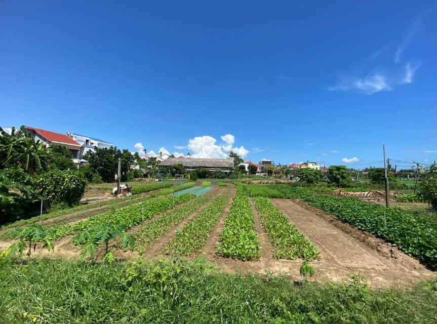 Hoi An: Rural Cycling Tour to Village with Basket Boat Ride - Tra Que Vegetable Village: Hands-On Herbs and a Farmer-First Feel