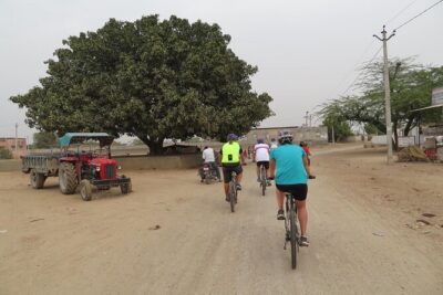 Jaipur Village Cycling Safari - A lakeside breakfast at 9:00: the smart break built into the route
