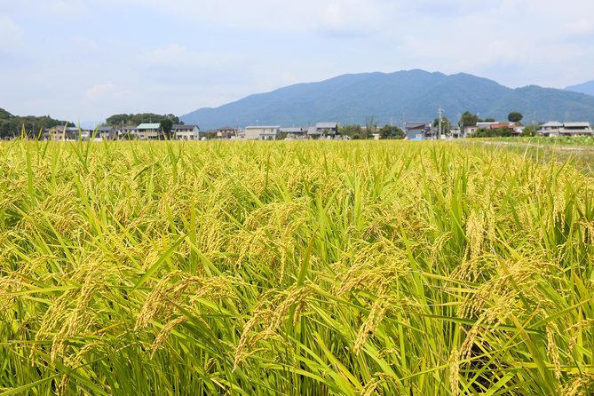 Japan's Rural Life & Nature: Private Half Day Cycling Near Kyoto - Stop 2: Saienji temple and the village feel around it