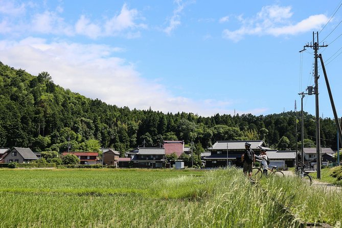 Japan's Rural Life & Nature: Private Half Day Cycling Near Kyoto - The farm-area story near Lake Biwa: from inland lake to rice land