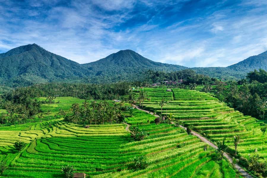 Jatiluwih (UNESCO Site) 2-Hour E-Bike Cycling Tour - What Makes This Jatiluwih E-Bike Tour Worth Your Time