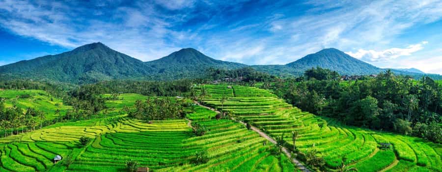 Jatiluwih (UNESCO Site) 2-Hour E-Bike Cycling Tour - E-bikes, helmets, and safety checks that matter in rice-country