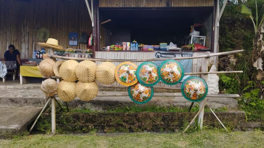 Jatiluwih (UNESCO Site) 2-Hour E-Bike Cycling Tour - Who should book this Jatiluwih e-bike tour (and who should skip)